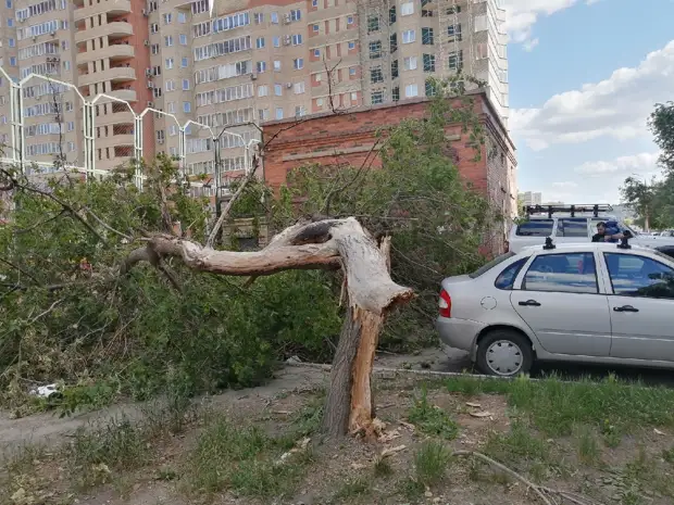 МЧС предупреждает о граде и штормовом ветре в Челябинской области