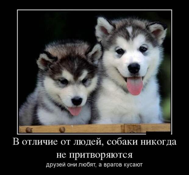 Смешные демотиваторы для всех. Нарезка приколов