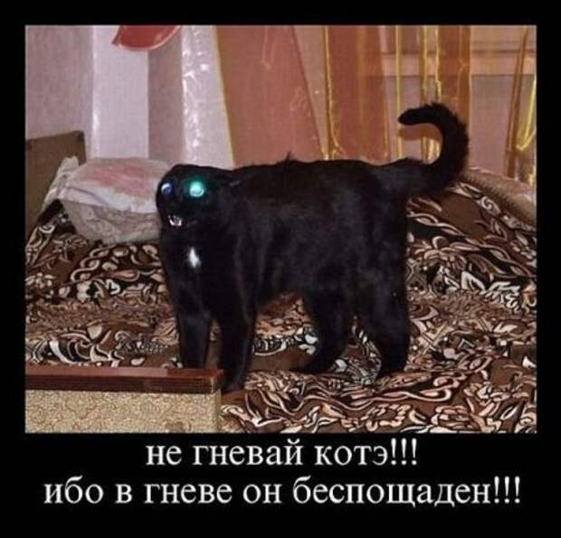 Демотиваторы смешные.