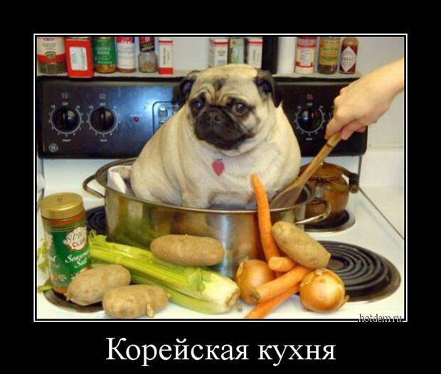 Демотиваторы демотиваторы, прикол, смех, юмор