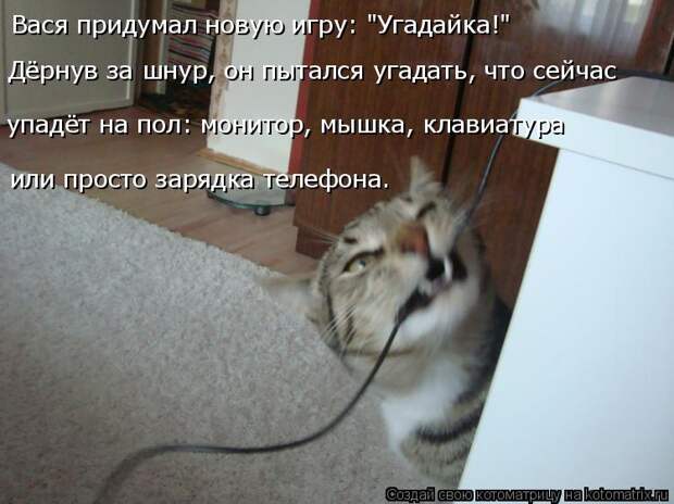 Котоматрица: Вася придумал новую игру: "Угадайка!" Дёрнув за шнур, он пытался угадать, что сейчас  или просто зарядка телефона. упадёт на пол: монитор, мышк