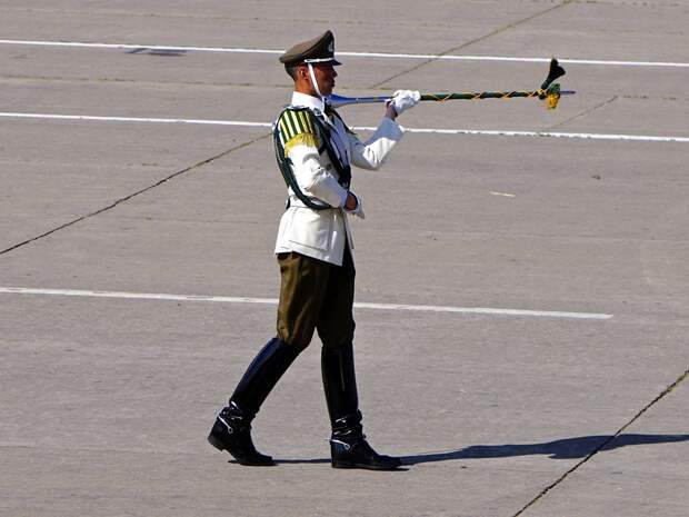 Чилийские карабинеры - полицейская гвардия своей страны (7)