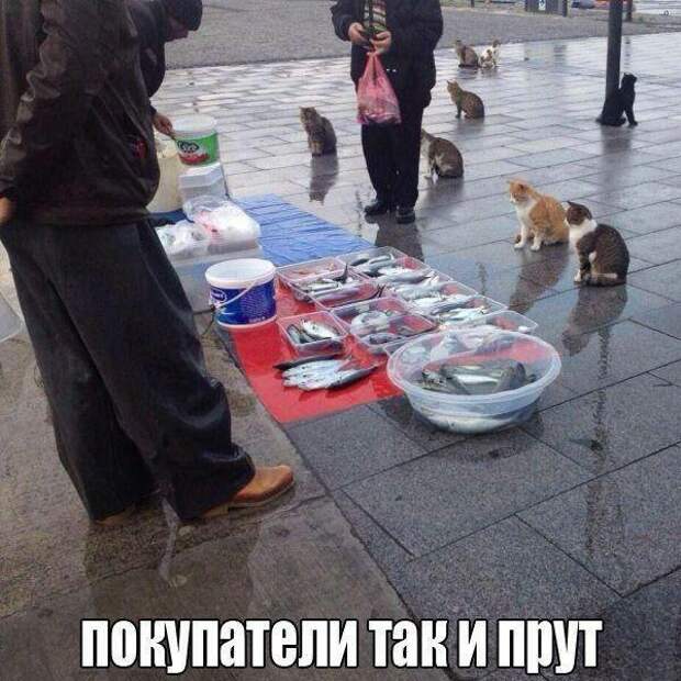 Пост хорошего настроения! Пост хорошего настроения! прикол, юмор