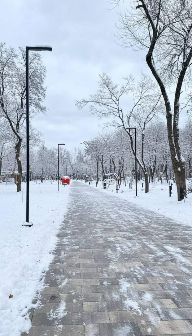Донецкая группа новостей, Донецк ДНР