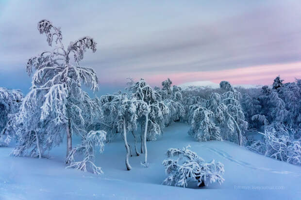 Финляндия. Снежные ландшафты