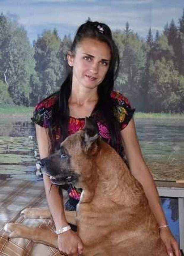 Художница из Волжского спасает собак от догхантеров Художница из Волжского спасает собак от догхантеров