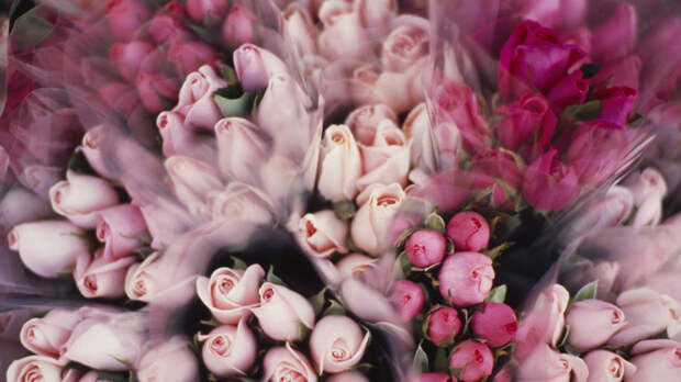 В России предложили ограничить цены на букеты к 8 Марта