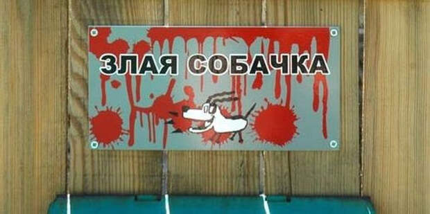 Звучит убедительно: 20 остроумных табличек собака, табличка, юмор