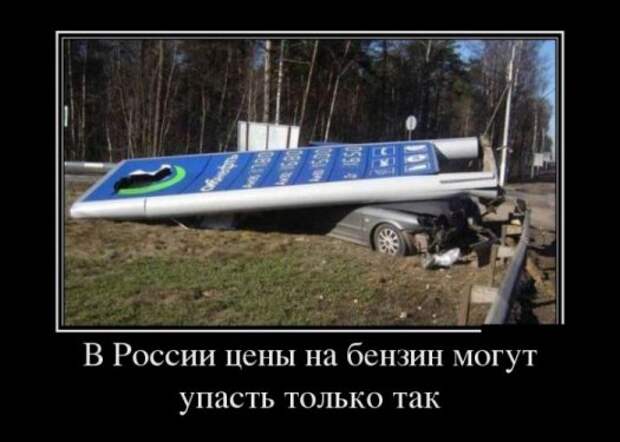 Демотиваторы картинки, прикольное