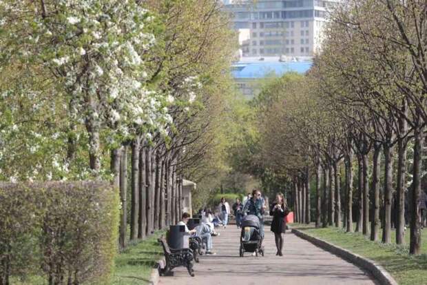 Прогноз: март в России станет самым теплым за историю метеонаблюдений