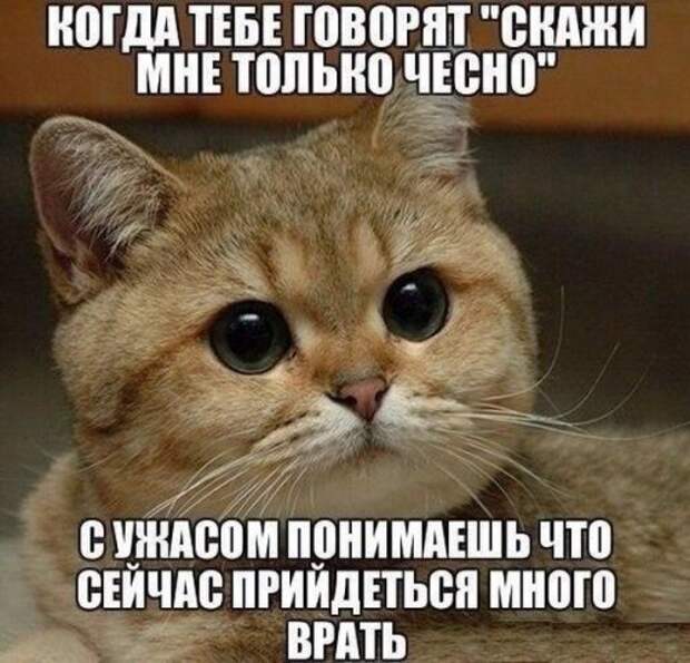 Прикольные картинки, ржака (52 шт)