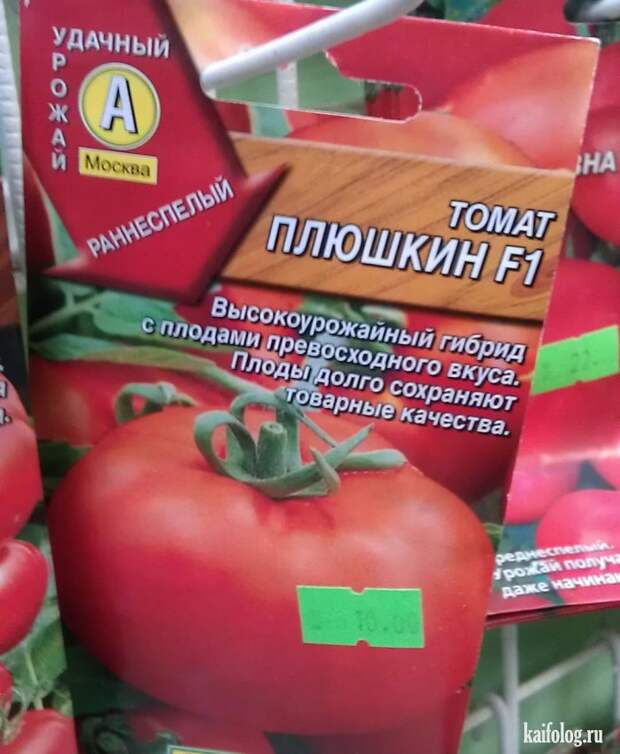 Прикольные семена (35 фото)