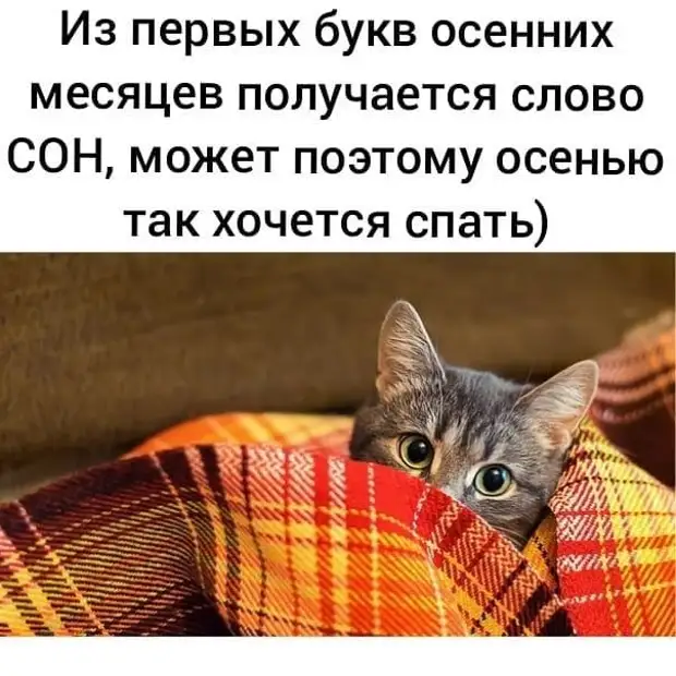 — Так куда же мне вас отвезти, месье Конан Дойл? — почтительно осведомился усатый таксист...