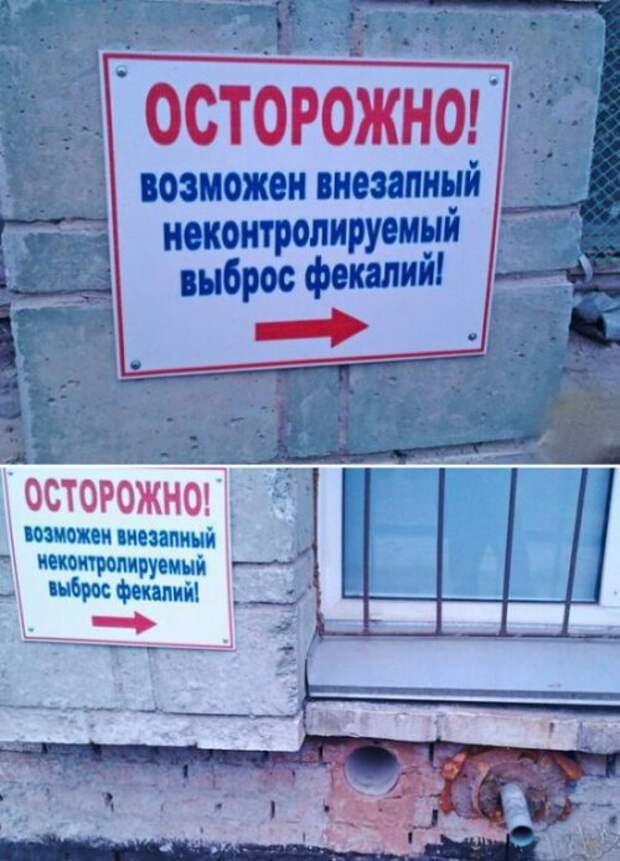 Прикольные картинки в подборке (41 шт)