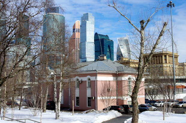 Московские птички 59