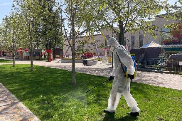 На акарицидную обработку в Тамбове выделяется 1 млн рублей