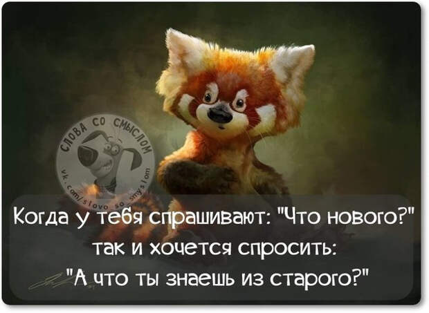 1416771417_frazki-5 (604x442, 154Kb)
