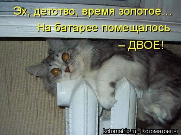 Отличная котоматрица для поднятия настроения (40 фото)