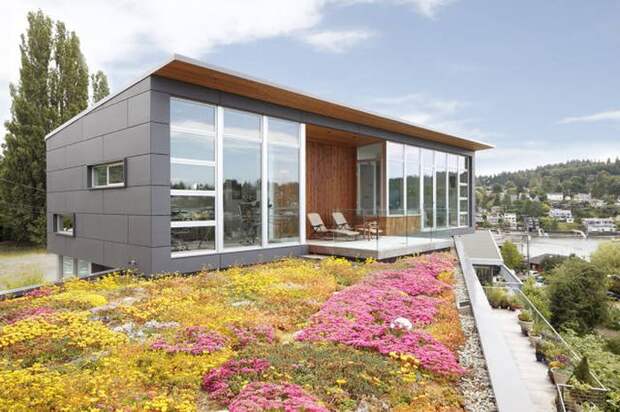 Прикольные картинки. Вечерний выпуск (52 фото)