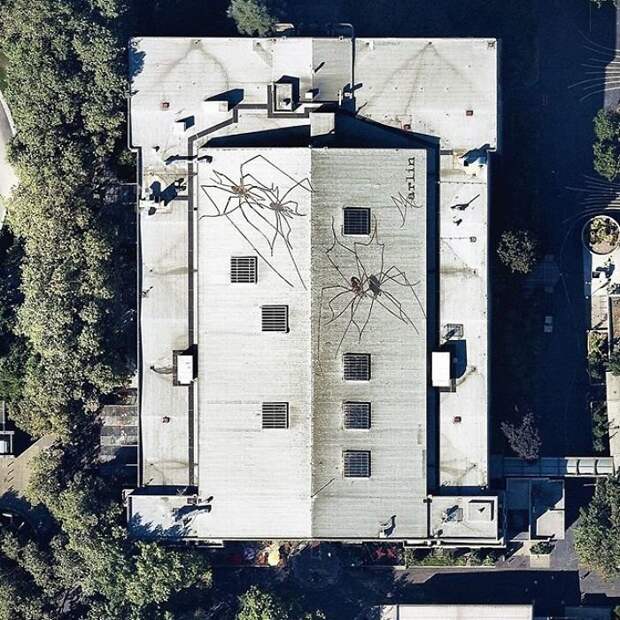 11. 3-D изображения пауков на крыше оружейного склада Сиэтлского Центра, Вашингтон, США Бенджамин Грант, земля, природа, фото со спутника, фотография, фотомир