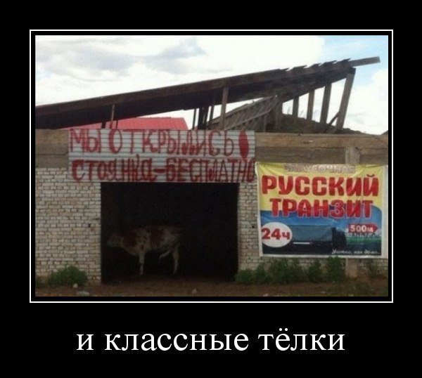 Новый сборник приколов и юмора в демотивирующих картинках!