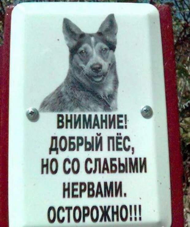 Таблички, которые сразу убеждают прикол, юмор