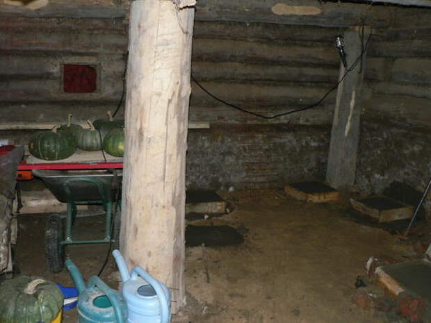 подвал подвал