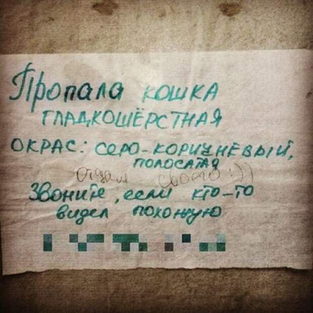 записки от солидарных соседей 
