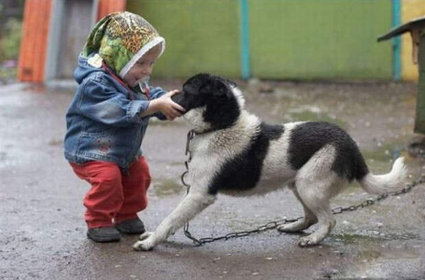 Ох, уж эти дети Ох уж эти дети, детство, юмор