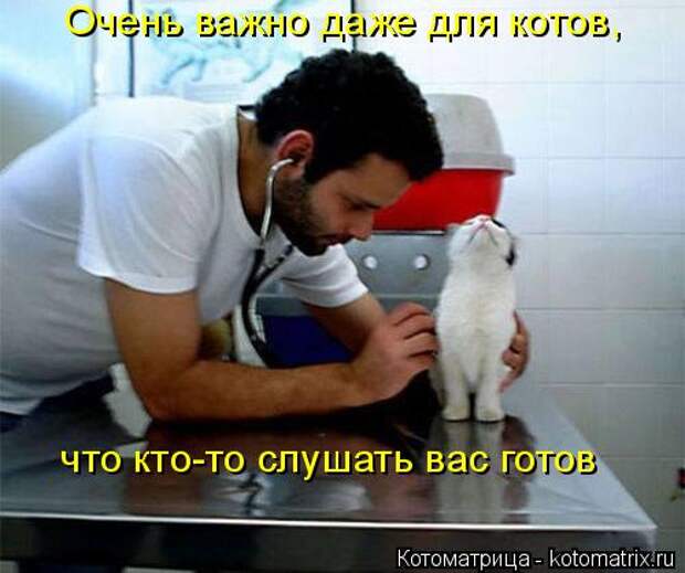 Котоматрица: Очень важно даже для котов,   что кто-то слушать вас готов