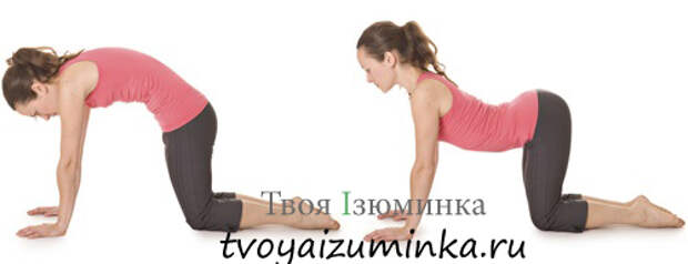 Упражнение для поясничного отдела