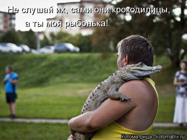 Котоматрица: Не слушай их, сами они крокодилицы, а ты моя рыбонька!
