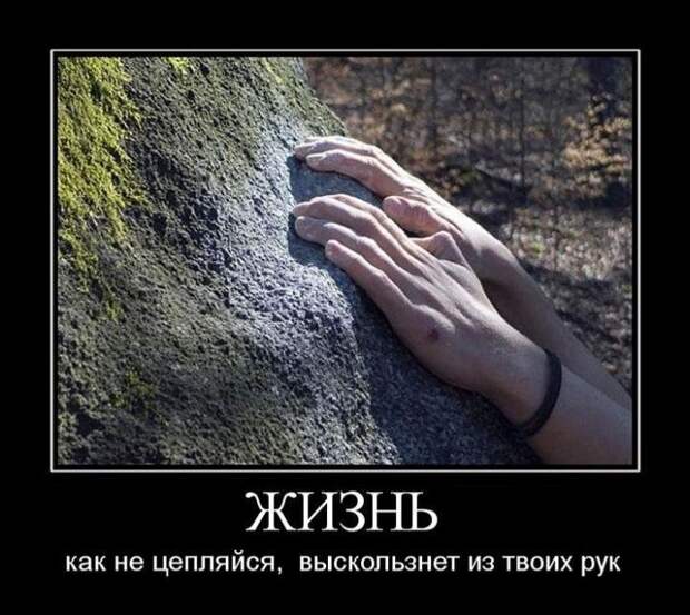 Демотиваторы (30 фото)