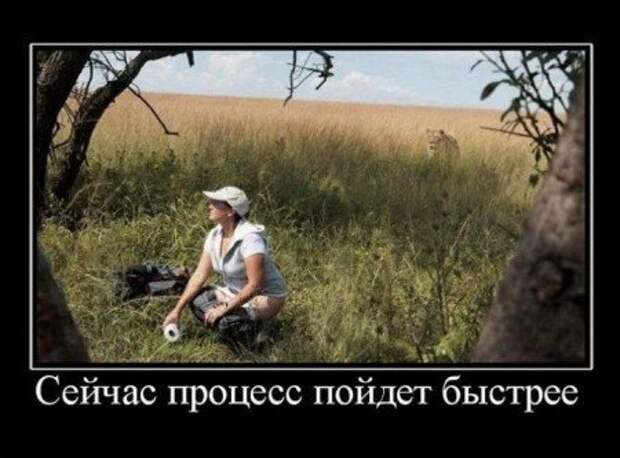Демотиваторы еще.