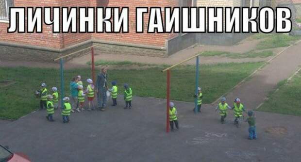 фото вызывающие приступы смеха 
