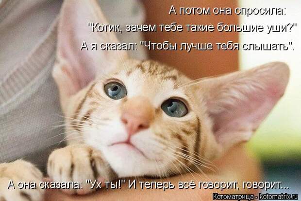 Котоматрица: А потом она спросила:  "Котик, зачем тебе такие большие уши?" А я сказал: "Чтобы лучше тебя слышать". А она сказала: "Ух ты!" И теперь всё говорит, 