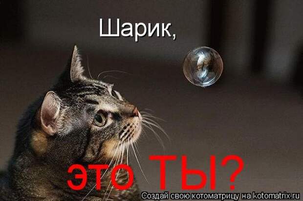 Мысли вслух :)