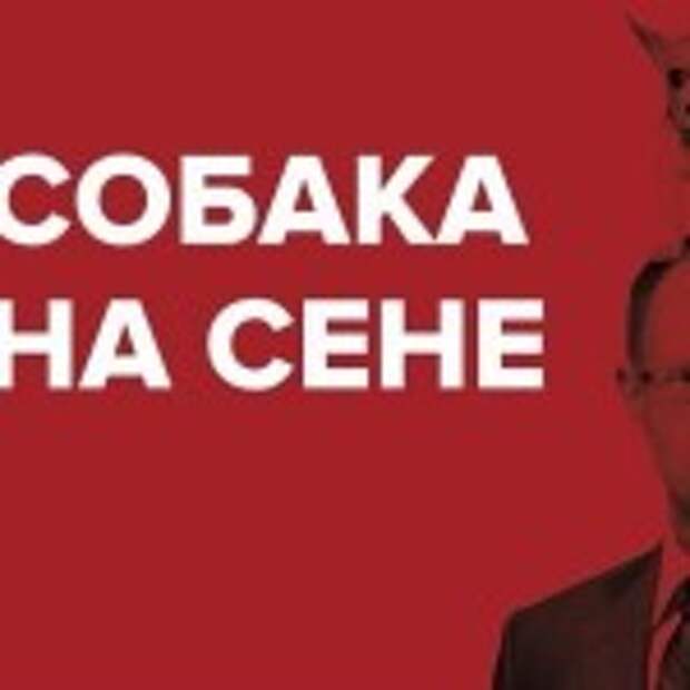 Яценюк: Киев не обязан отчитываться перед миром за их деньги