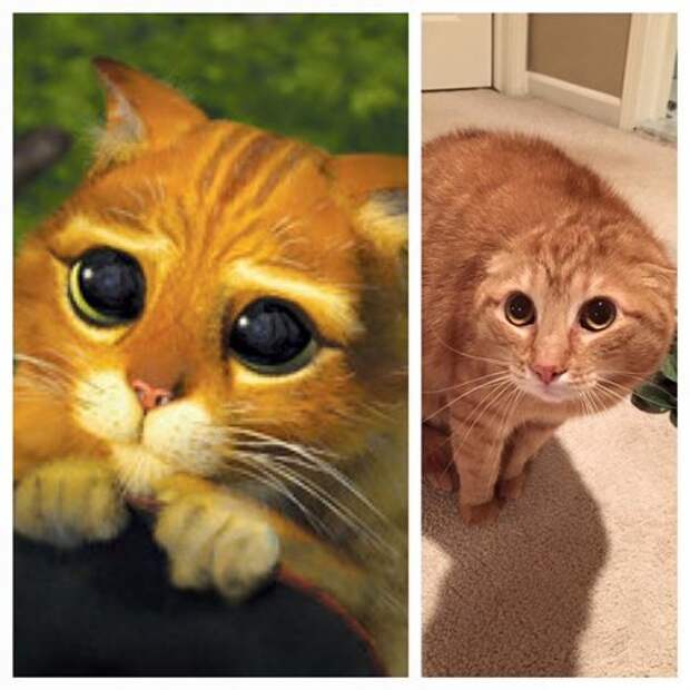 Классные и прикольные картинки (45 шт)