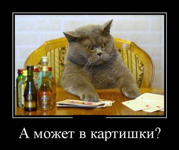 Пятничная подборка демотиваторов демотиватор, юмор