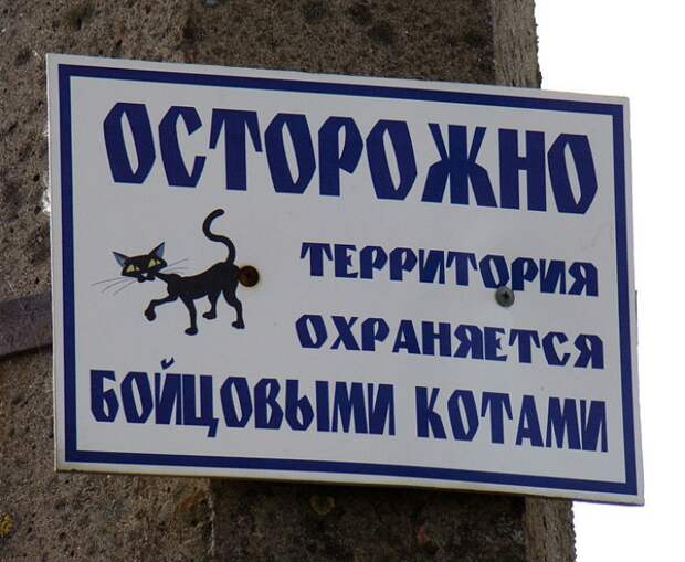 забавные вывески и предупреждения на заборах