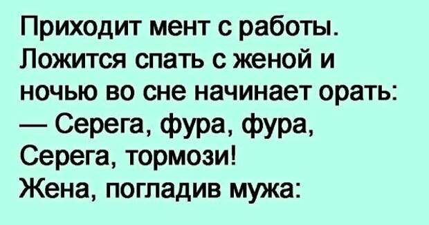 Сон бывшего мужа гладила. Анекдот гаишнику снится фура ,дена пустая пустая. Серег Тормози. Таможенник ночью..фура фура жена говорит пустая анекдот. Фура Серега.