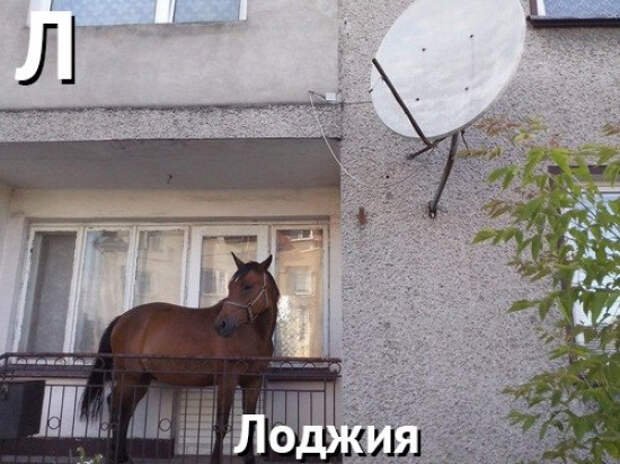 лоджия