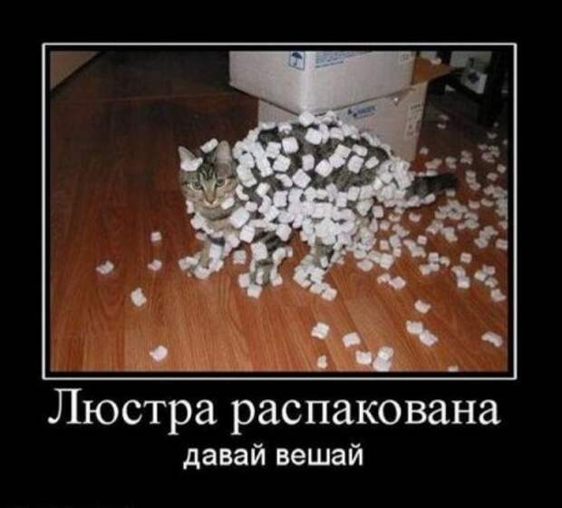Прикольные демотиваторы, гарантия хорошего настроения.
