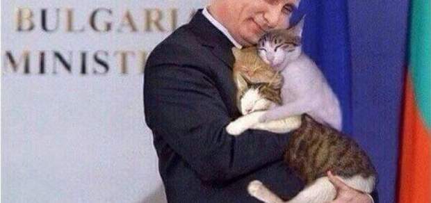 Путин и Котэ