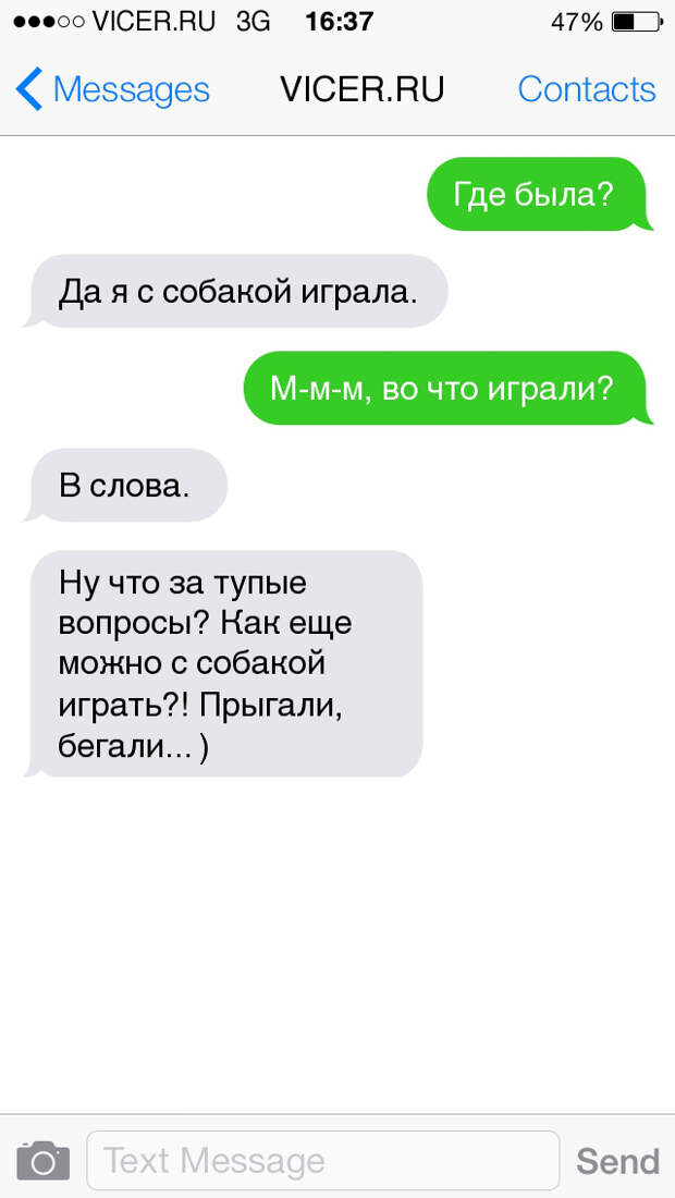 смс о домашних животных 