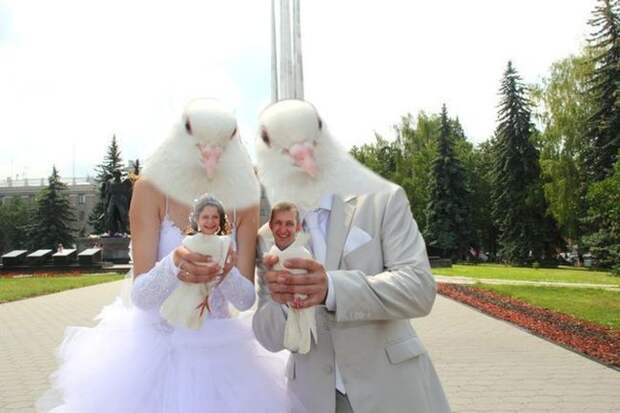 Чудики из социальных сетей маразм, социальная сеть, чудики