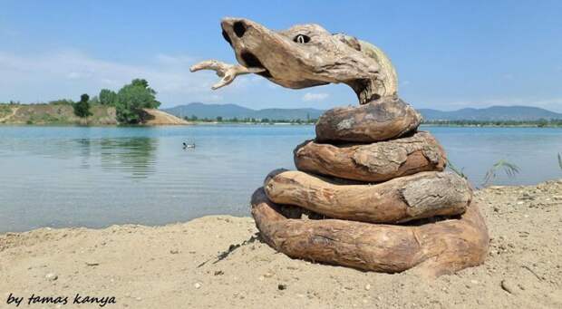 Скульптуры из коряг, выброшенных на берег венгрия, коряга, скульптура