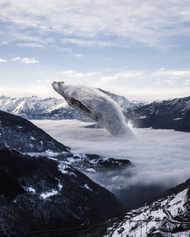 Fogwhale