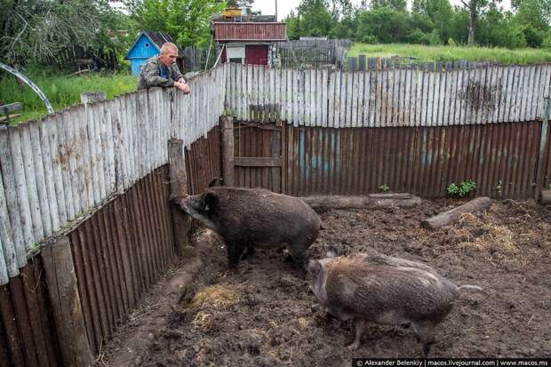 Загадка русского мужика мужик, россия